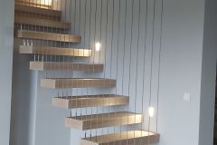 IMG-754fc6dbae63fae9e844748d6497e015-V